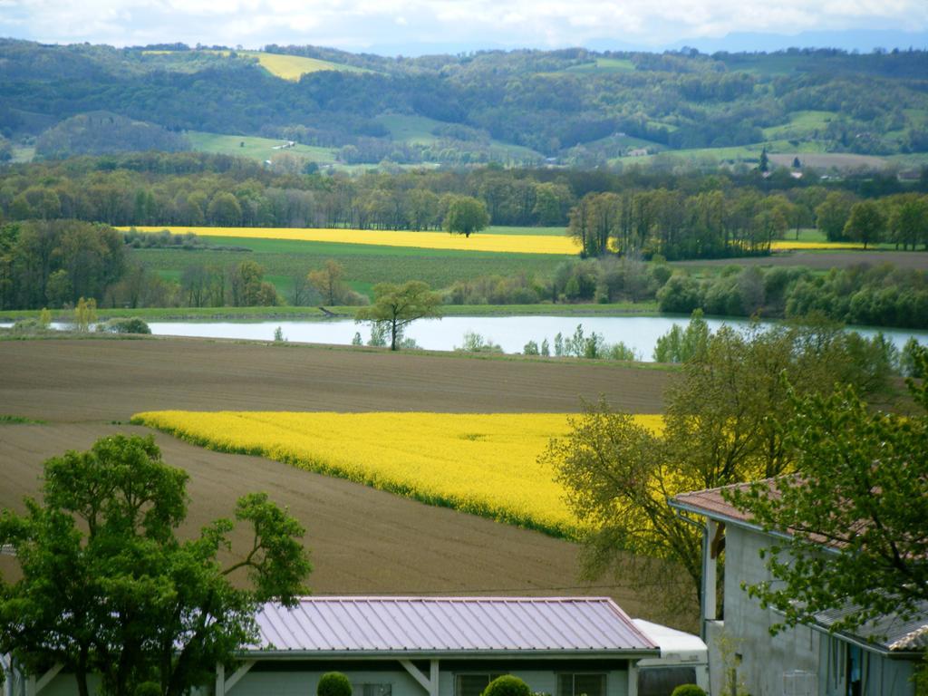 Gite Au Bouzigues Monlaur-Bernet ภายนอก รูปภาพ