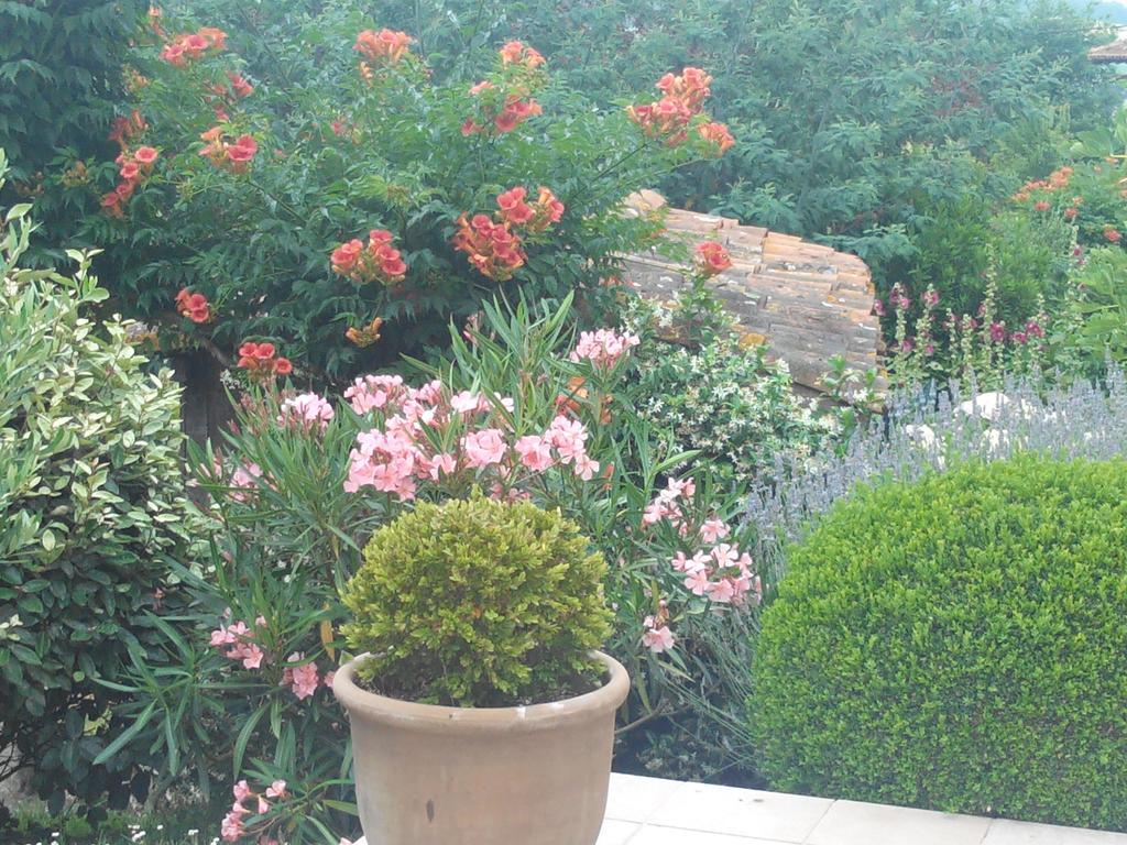 Gite Au Bouzigues Monlaur-Bernet ภายนอก รูปภาพ