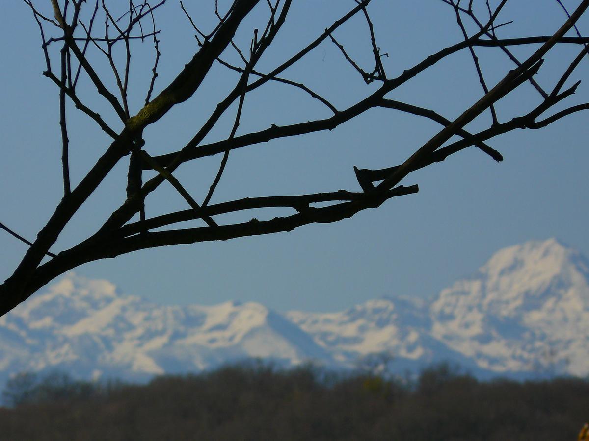 Gite Au Bouzigues Monlaur-Bernet ภายนอก รูปภาพ