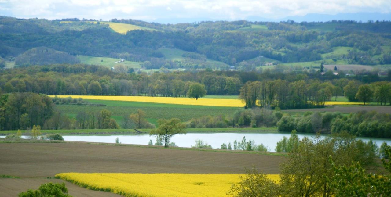 Gite Au Bouzigues Monlaur-Bernet ภายนอก รูปภาพ